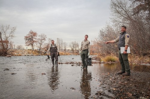Three park rangers standing in river giving a talk